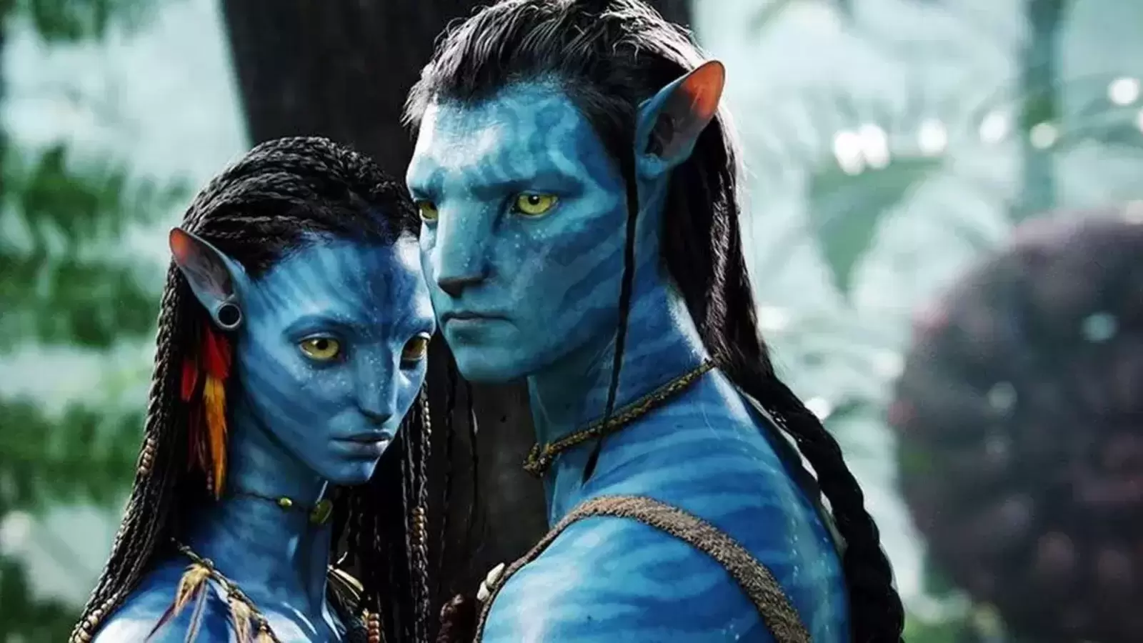 Avatar scene